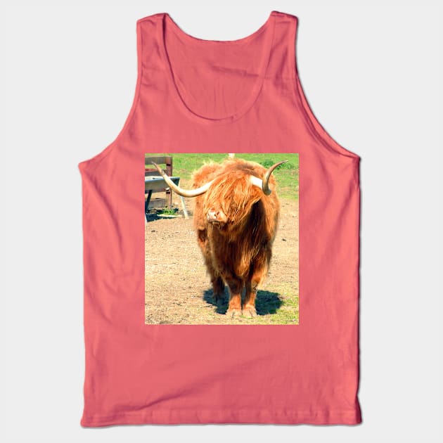 Heilan Coo II Tank Top by tomg